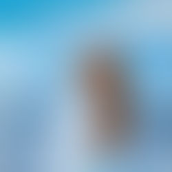 June 2025 Newsletter