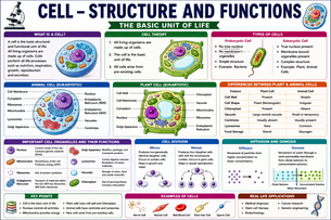 cell structure and functions biology banner showing plant cell, animal cell, organelles, cell theory and cell division concepts for students