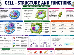 cell structure and functions biology banner showing plant cell, animal cell, organelles, cell theory and cell division concepts for students