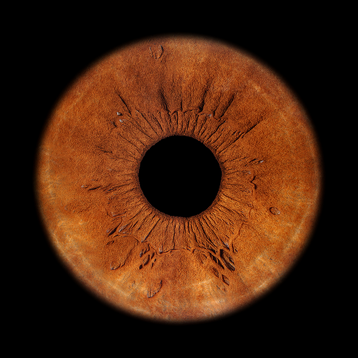 Braune Iris