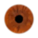 Braune Iris ohne Farbtafel für die Irisdiagnose