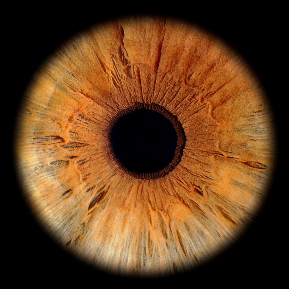 Iris Fotografie von Iris Foto Schweiz aus dem Jahr 2021, schon da war die Qualität das Mass aller Dinge für uns.