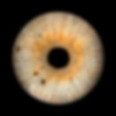 ©iris-foto-luzern_0706_Alessandra_720px