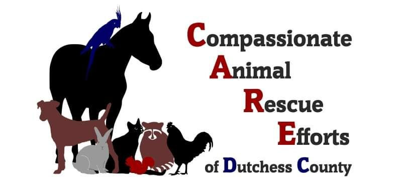 cropped-Care-of-DC-Compassionate-Animal-Rescue-logo-1