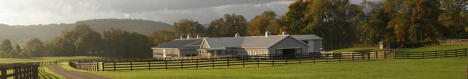 PA020117_edited.jpg