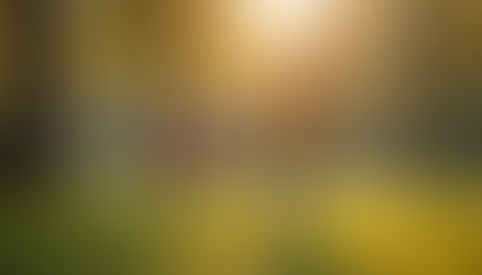 Uncovering the Heart of Lafayette: Family Portrait Photography with an Indiana Twist