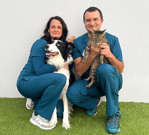 Dois-Vets-Consultas-ao-Domicílio_edited.