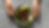 img of flafel.png