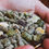 Miniatura: Horsal metabolic Müsli