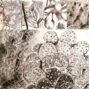 Residency at Cyrpus College of Art.