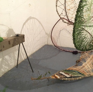 Exhibition curation