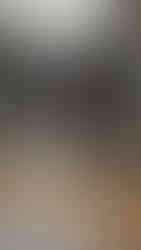 Aruba Itinerary for Families