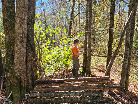 exploring the woods with kids