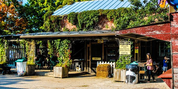 best pumpkin patches in Wisconsin