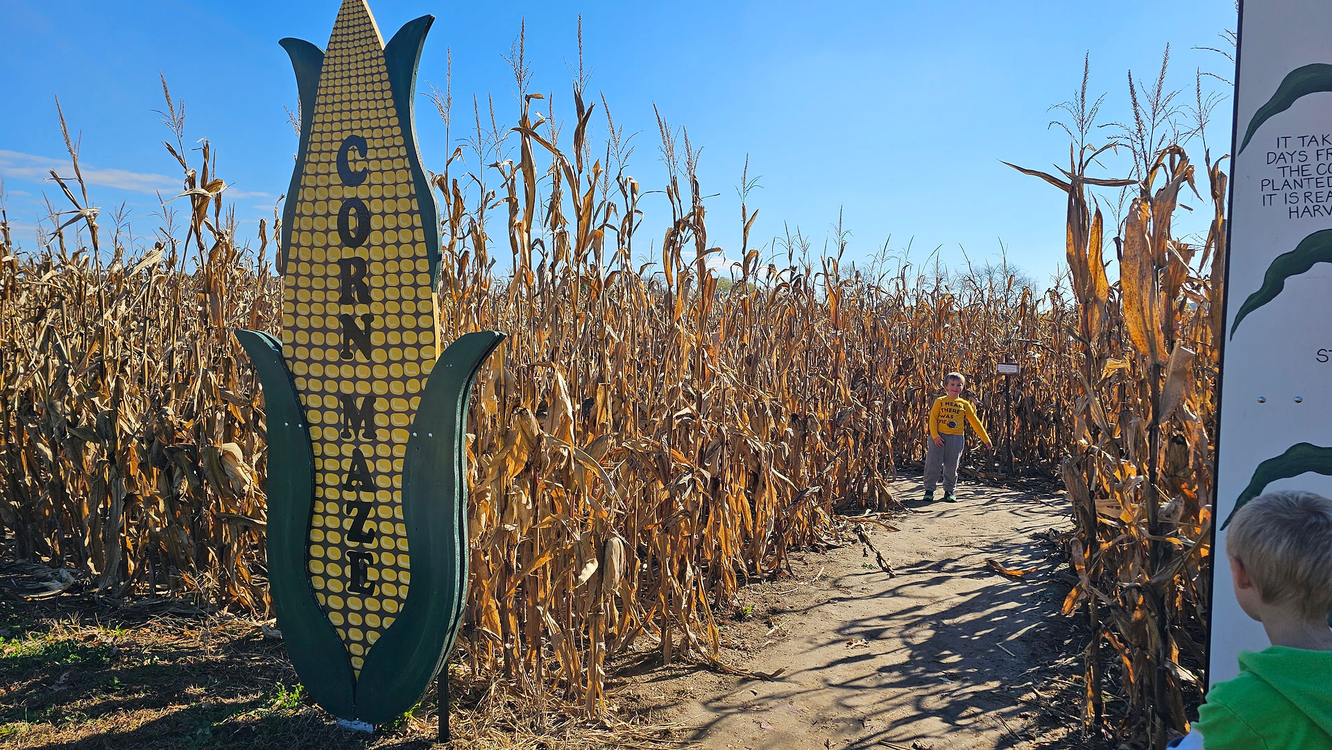 best pumpkin patches in Wisconsin