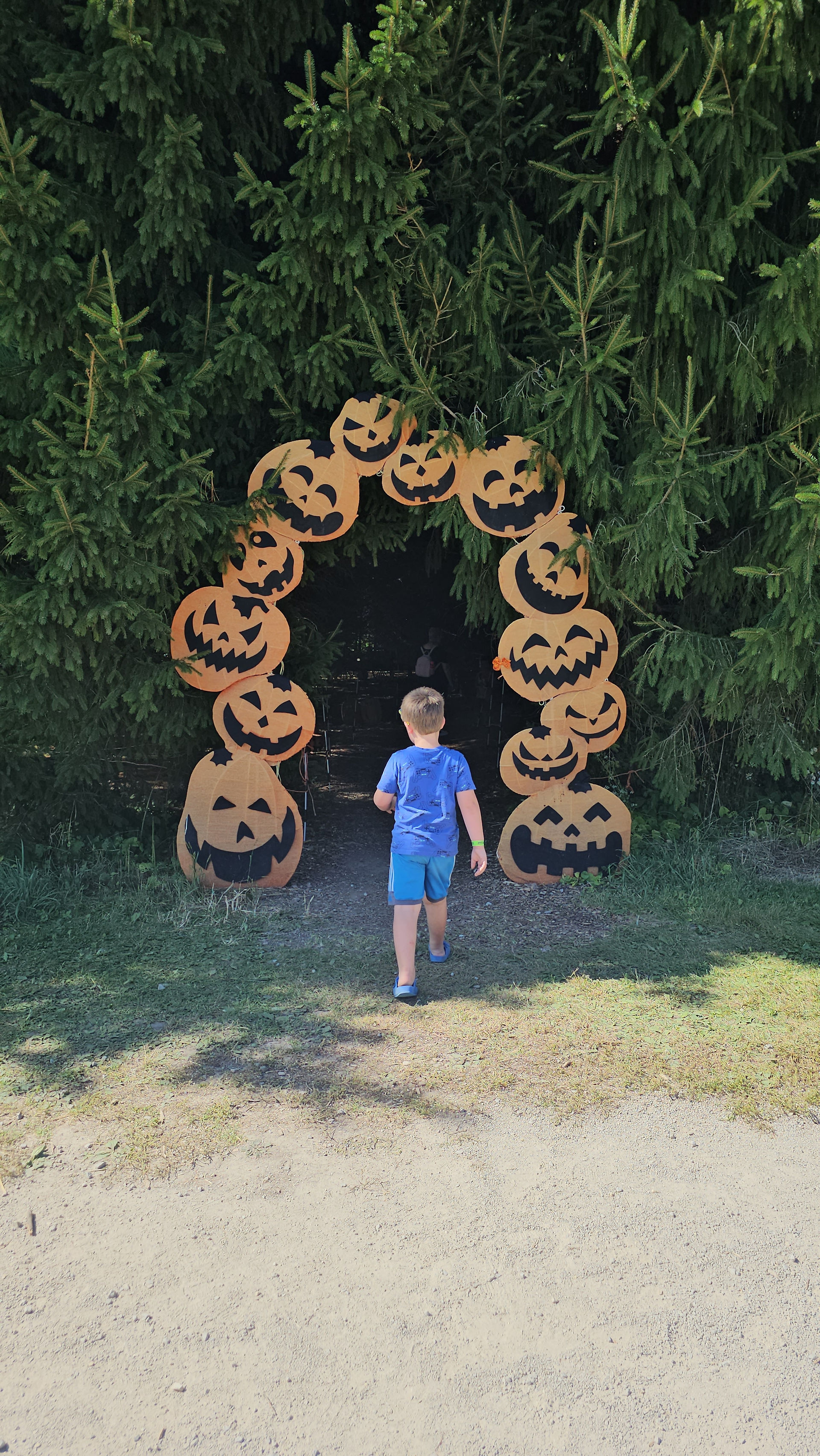 best pumpkin patches in Wisconsin