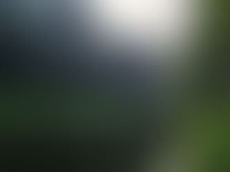 Camping in Yellow River State Forest