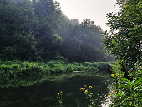 Camping in Yellow River State Forest