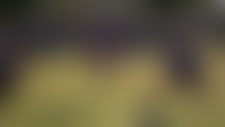 Las Vegas Rugby Tournament 