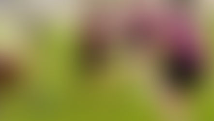 ASU Women's alumni game 2022