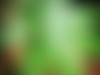 Aprenda a fazer a coisa certa!!!