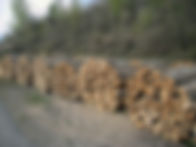 Bois de feu