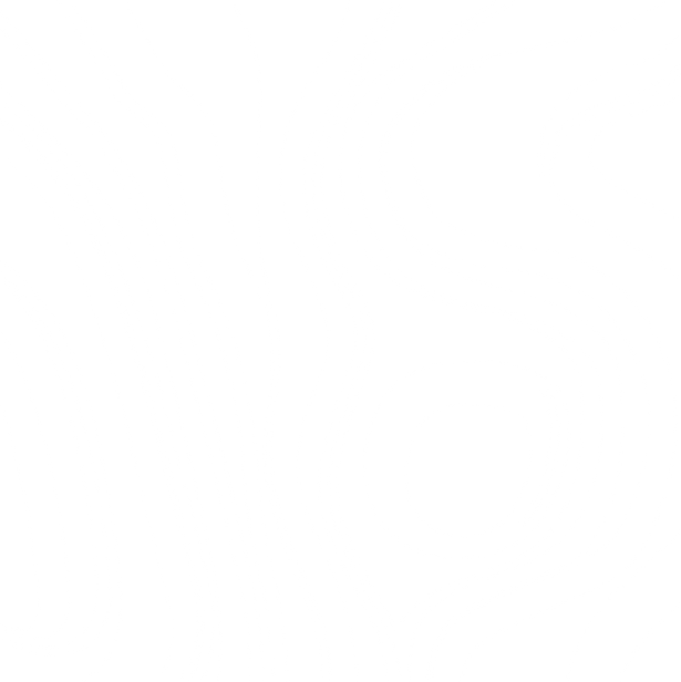 logo filigrane_20%.png