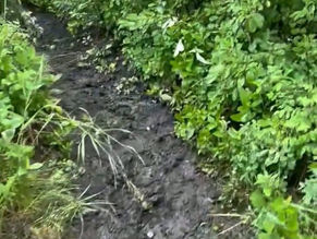 Public Statement – North Sun Ultra Race Damages Trails