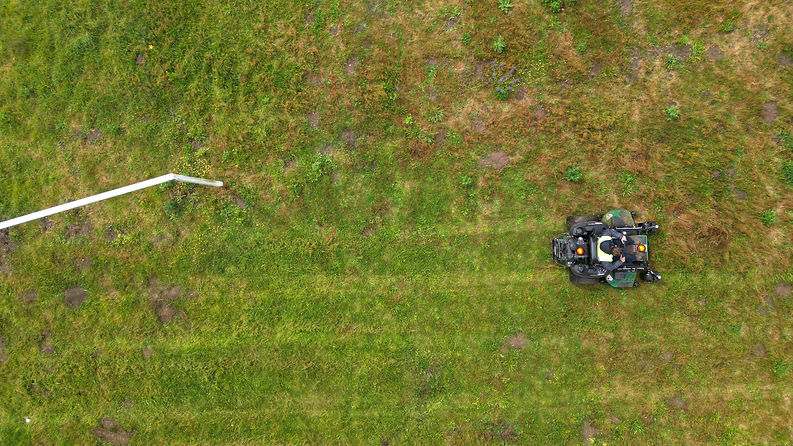 grass above offic.jpg