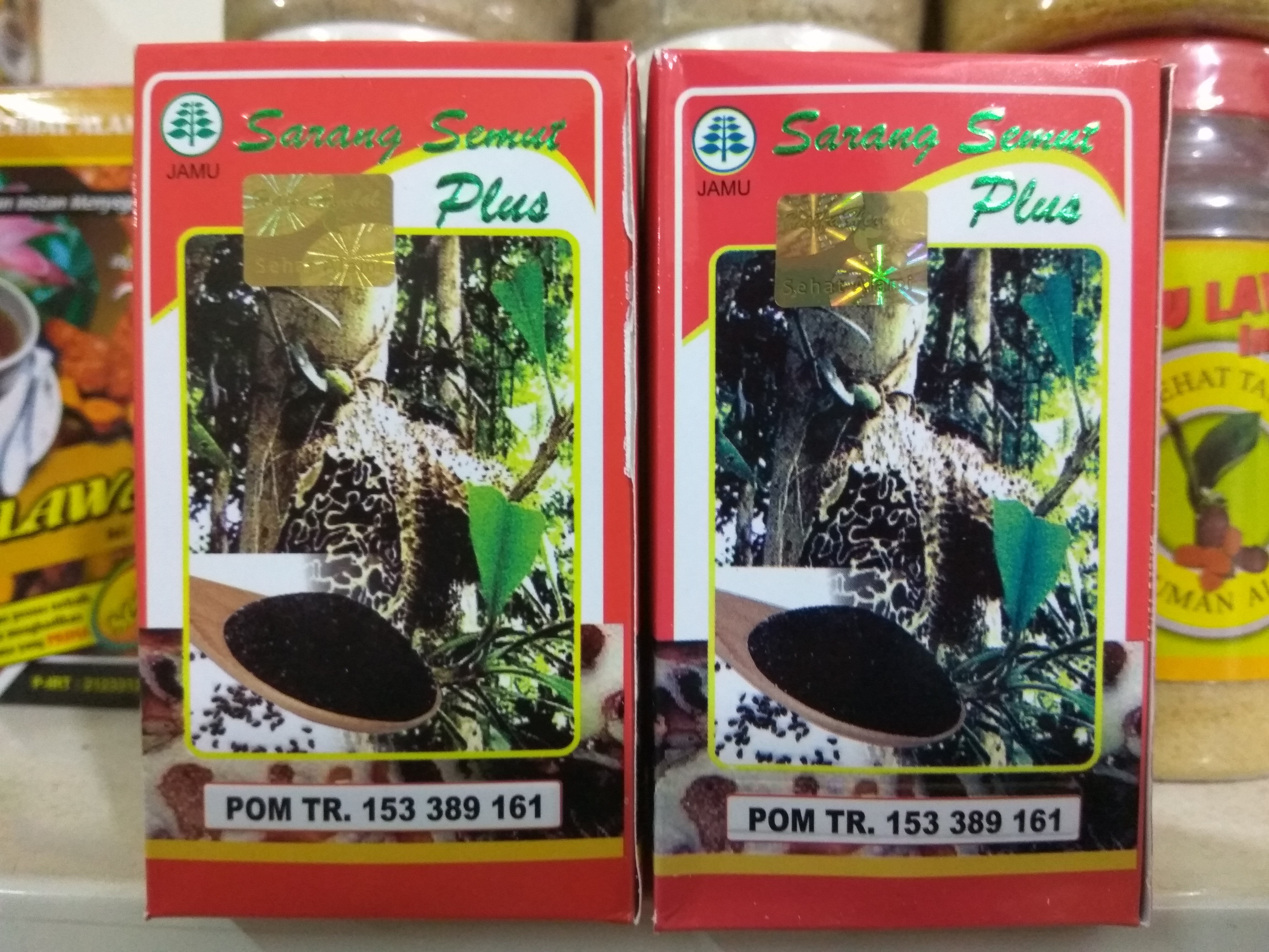 Kapsul Sarang Semut Papua