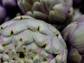 Artichauts : savoureux et sains, ils ont tout pour plaire !
