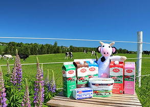 cows on pasture 1.jpeg