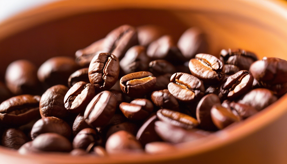 Fair Trade Kaffee Workshop