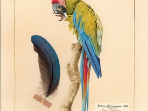 AUTRES AQUARELLES :