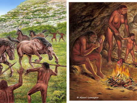 ILLUSTRATIONS pour OUVRAGES SCIENTIFIQUES : PRÉHISTOIRE (suite 2)