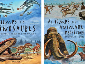 BIBLIOGRAPHIE- En qualité d’AUTEURS-ILLUSTRATEURS pour la jeunesse :
