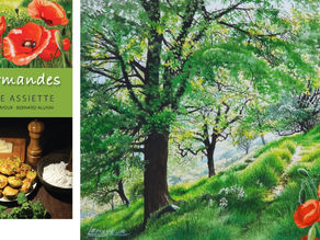 2017 : Les AQUARELLES du LIVRE « SAUVAGES ET GOURMANDES, de la cueillette à notre assiette »