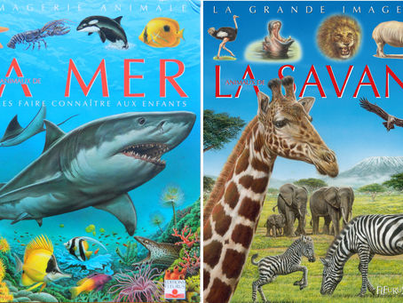 BIBLIOGRAPHIE- ILLUSTRATIONS éditions FLEURUS : les GRANDES IMAGERIES