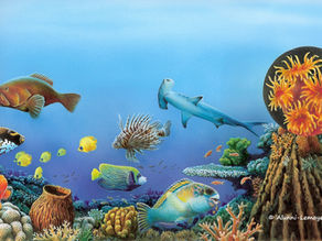 THÈME des ANIMAUX MARINS: