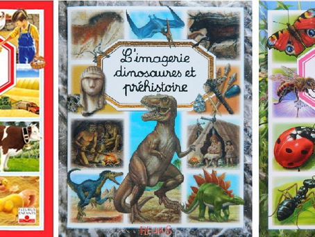 BIBLIOGRAPHIE- ILLUSTRATIONS éditions FLEURUS : les IMAGERIES