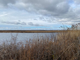 IMG_7290.jpeg