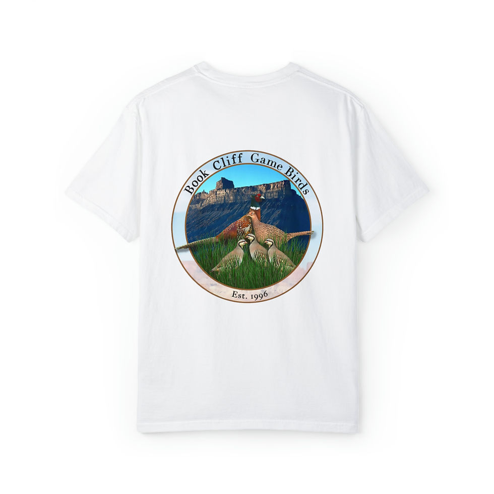 Thumbnail: Dyed T-shirt