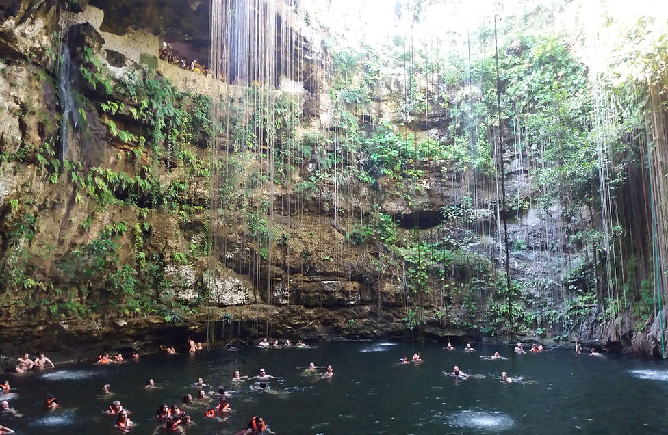 Vines hang over the water in the Ik-Kil cenote