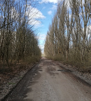 The main street of Pripyat