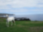 Azores, Portugal