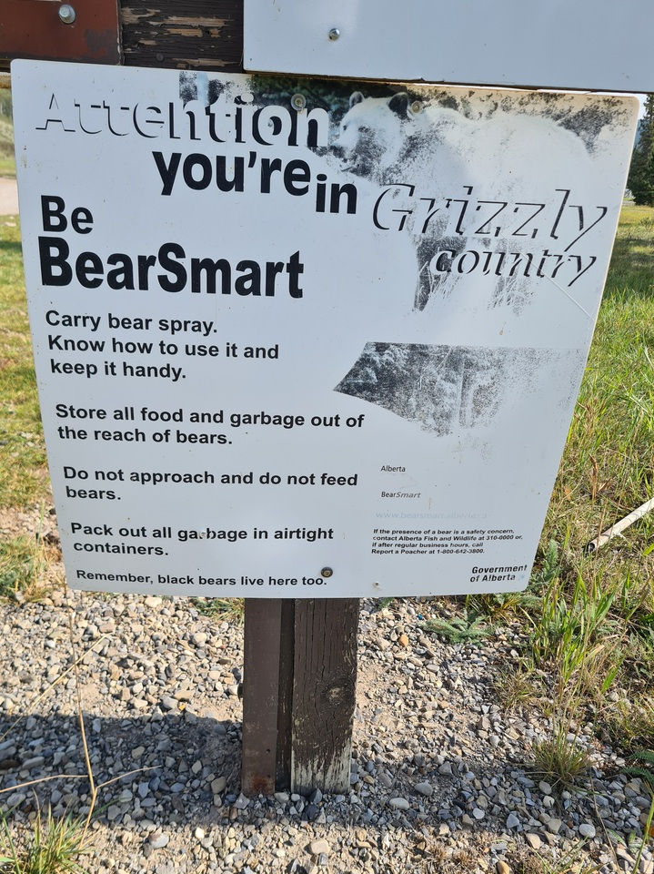 Bear land rules