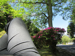 WE ARE WAITING FOR THE BUS Lying ON THE WIDE