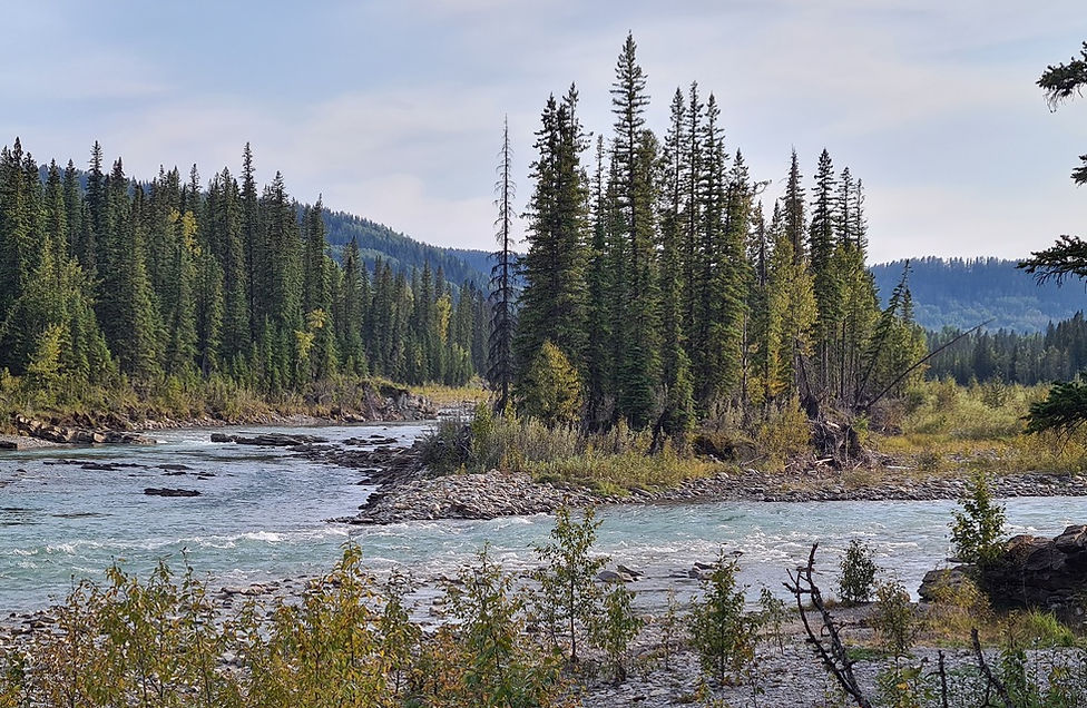 Island on the Red Deer River