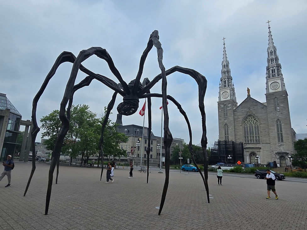 A spider in downtown Ottawa