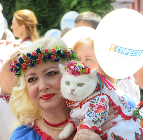 Кошка в вышиванке